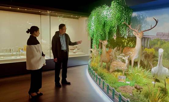 mmexport1761895680436